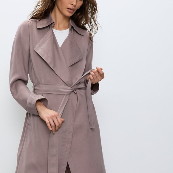 Aritzia Babaton “Maximo Trench Coat” - Picture 3 of 4